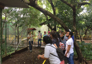 estudiantes-universitarios-visitan-centro-de-rescate