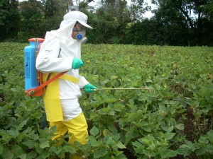 Costa Rica sera sede de debate mundial sobre plaguicidas