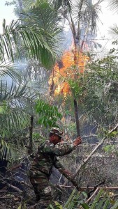 Incendios forestales devastan Reserva Biologica Indio Maiz2