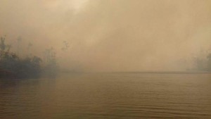 Incendios forestales devastan Reserva Biologica Indio Maiz4