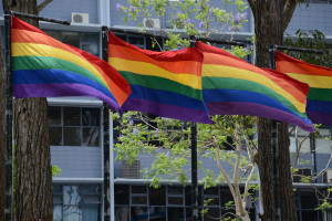 Manifiesto de la UCR Los ambientes educativos deben ser espacios libres de toda forma de discriminacion y violencia