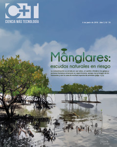 UCR Manglares escudos naturales en riesgo3