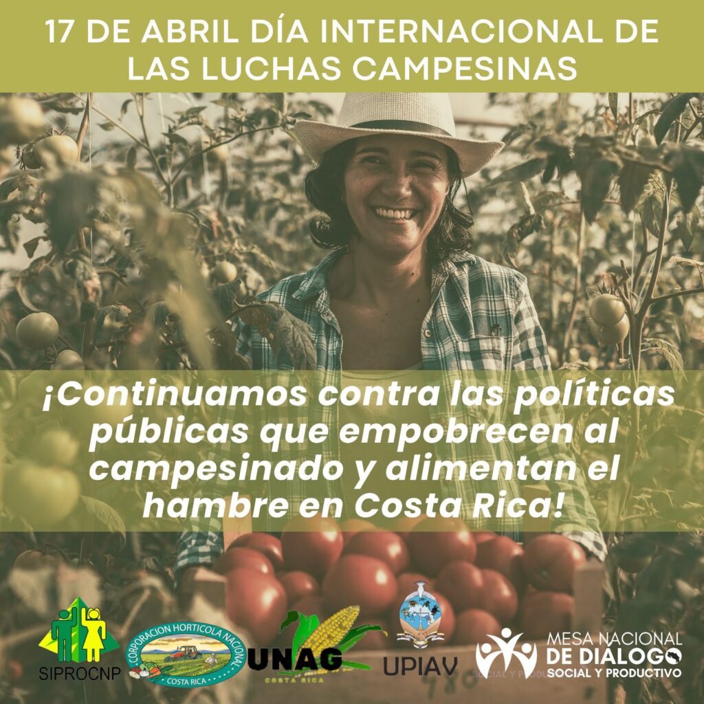 Día Internacional De Las Luchas Campesinas Y Mujeres Rurales Surcos